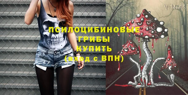 PSILOCYBIN Абдулино