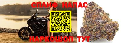 скорость Гатчина