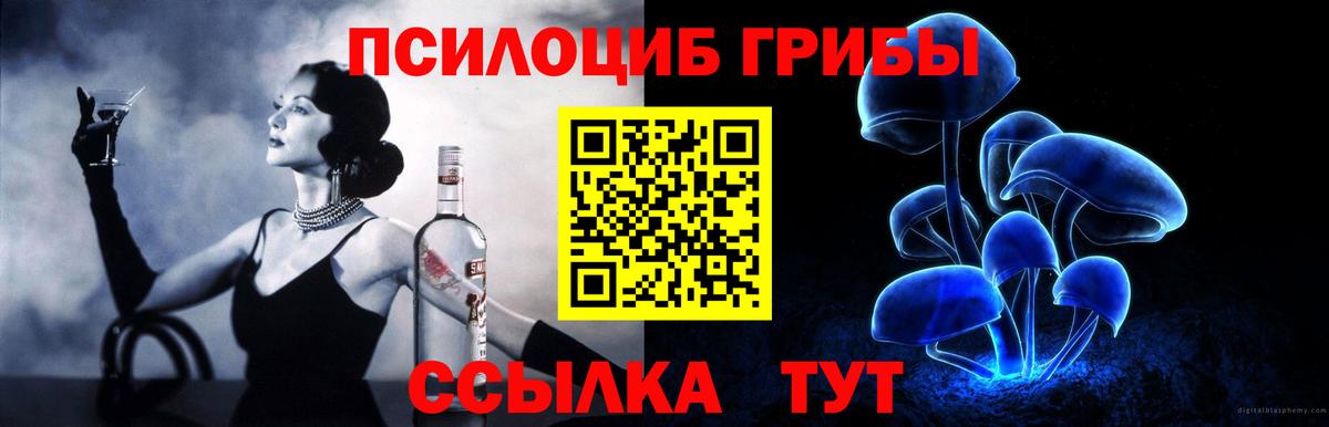 Псилоцибиновые грибы мухоморы Каменка